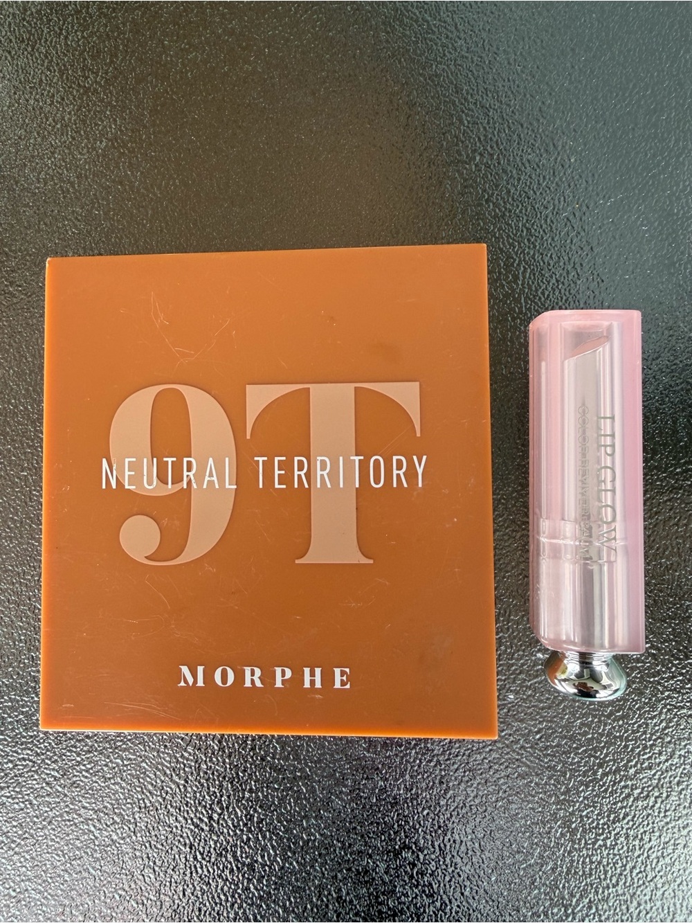 Morphe Neutral Territory 9T Eyeshadow Palette and Dior Addict lip glow